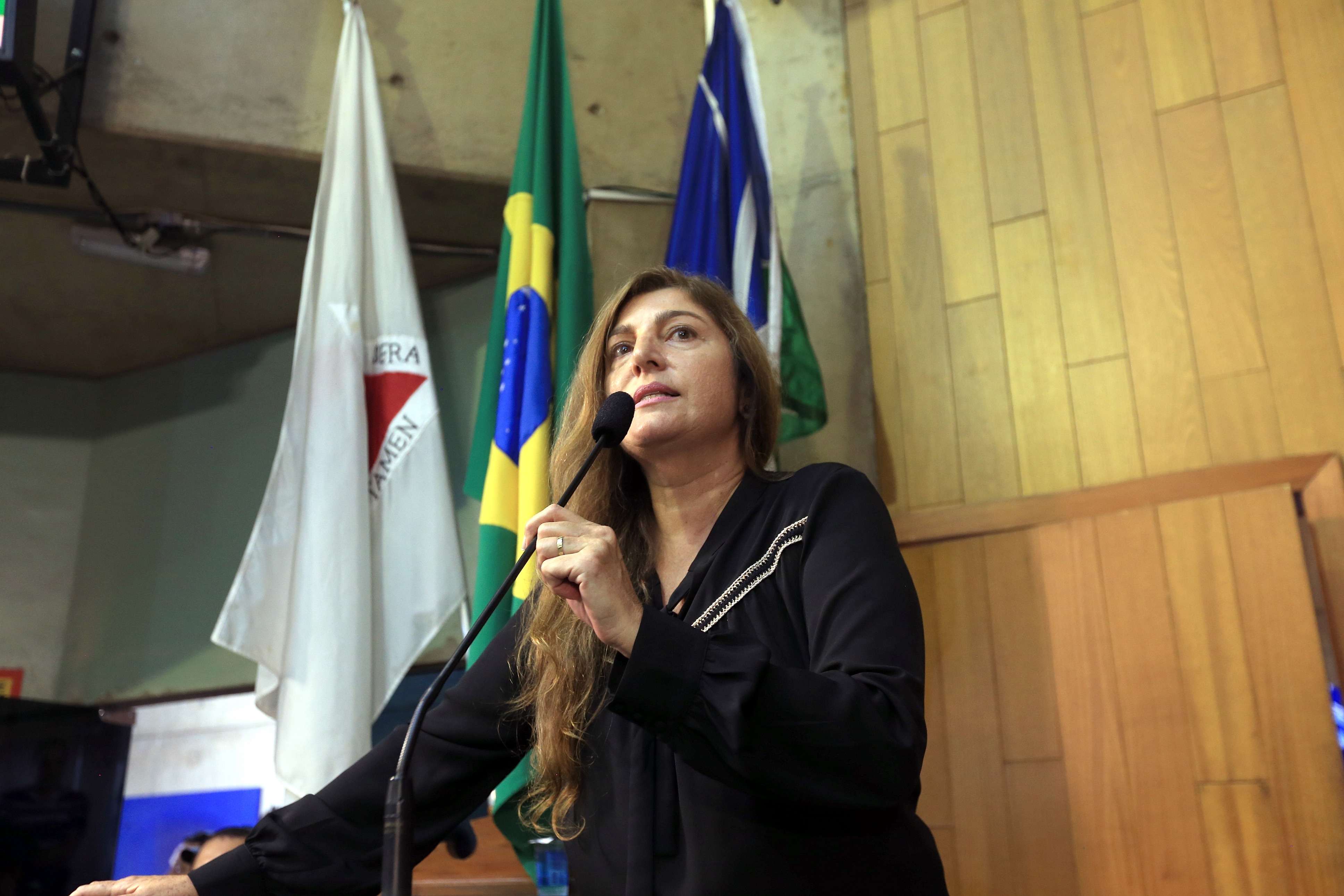 foto Aline Rezende 0011.JPG