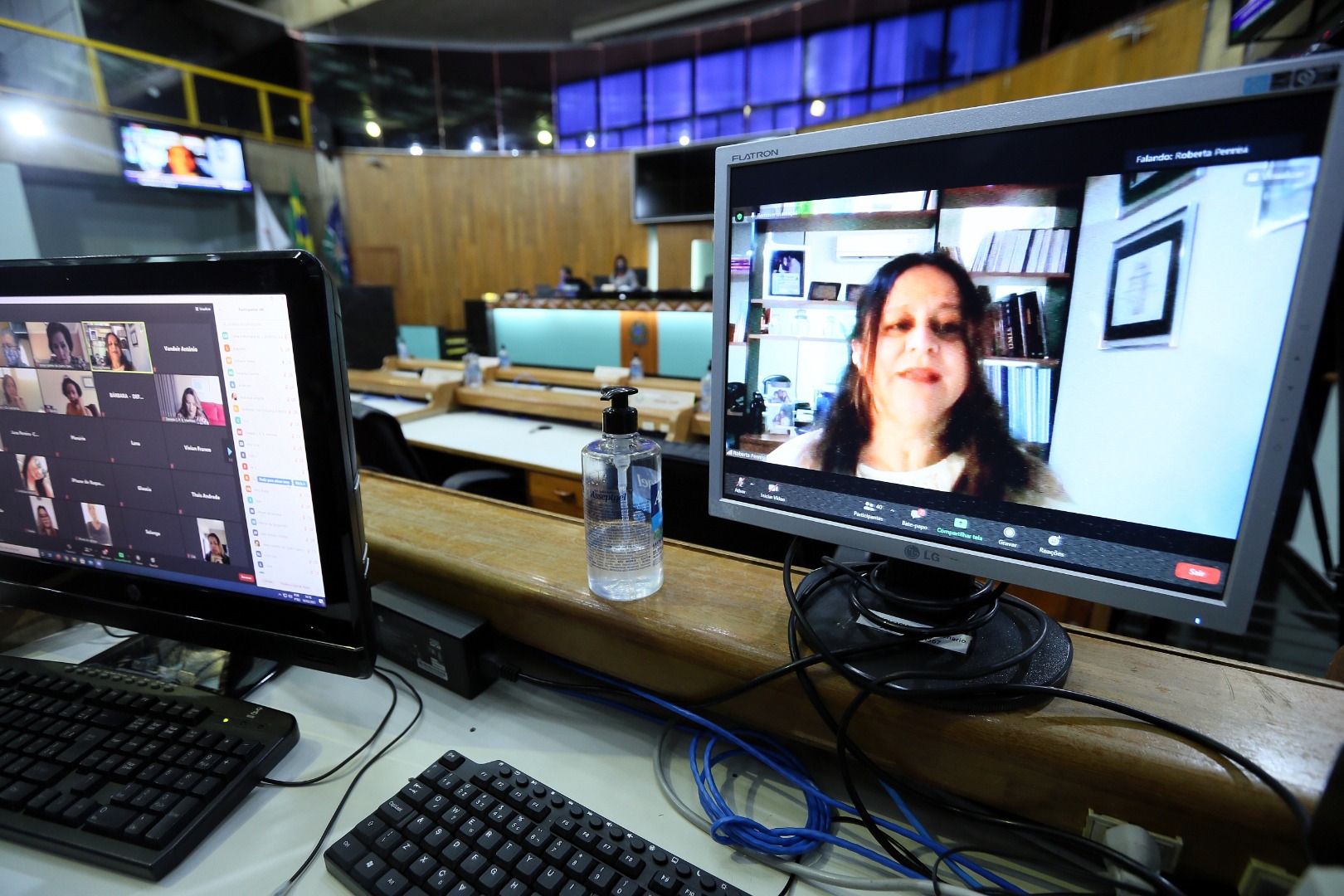 foto Aline Rezende 0008.JPG