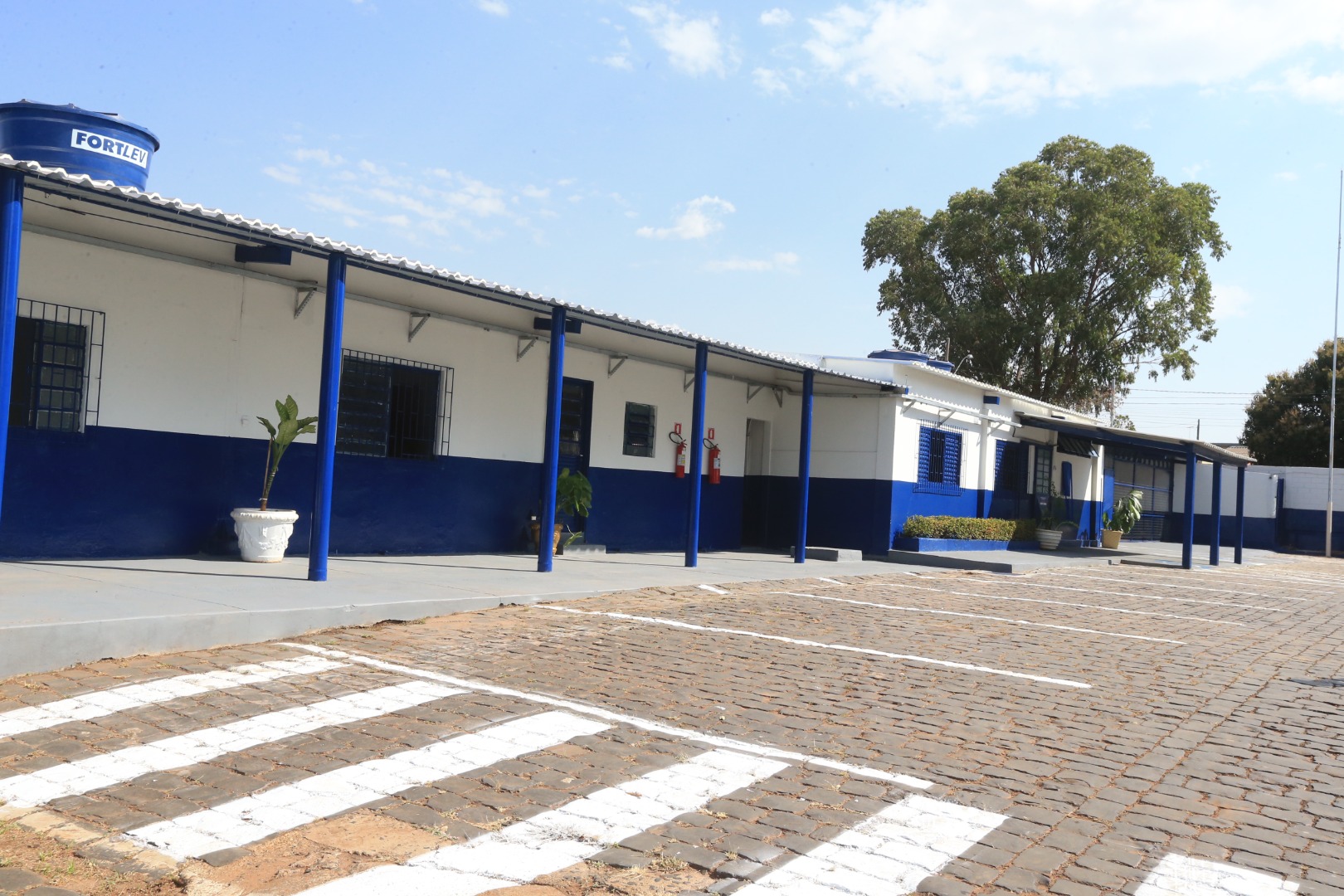 foto Aline Rezende 0001.JPG