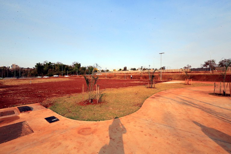 foto Aline Rezende 0005.JPG