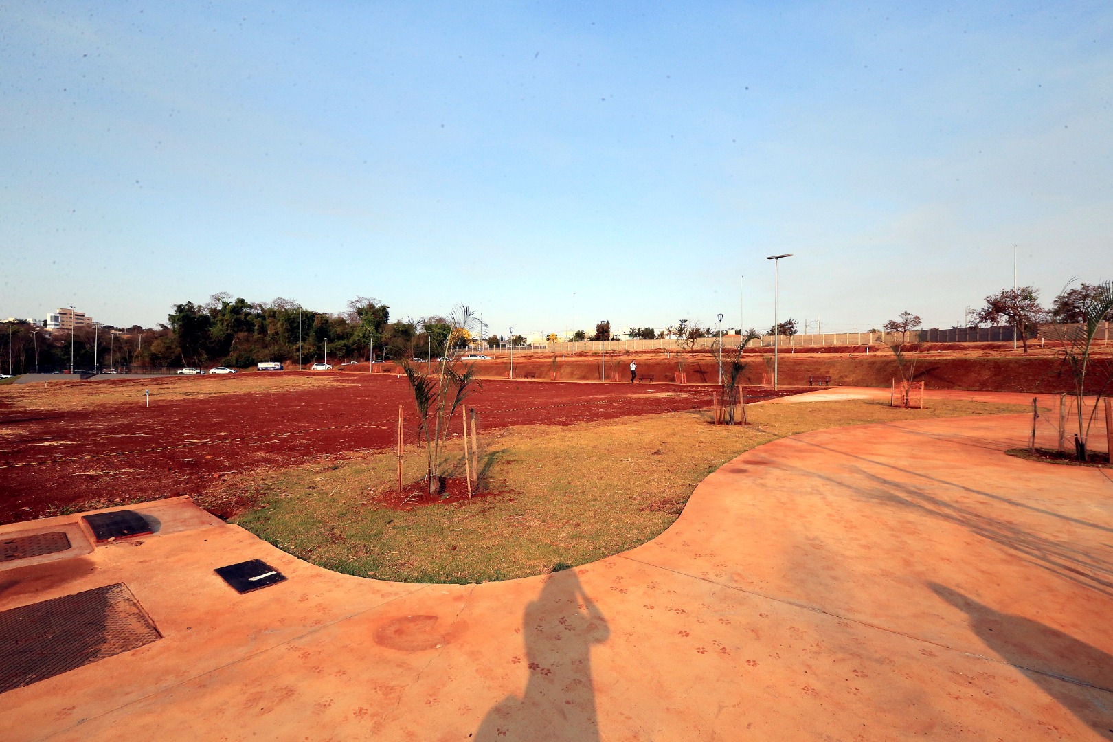 foto Aline Rezende 0005.JPG