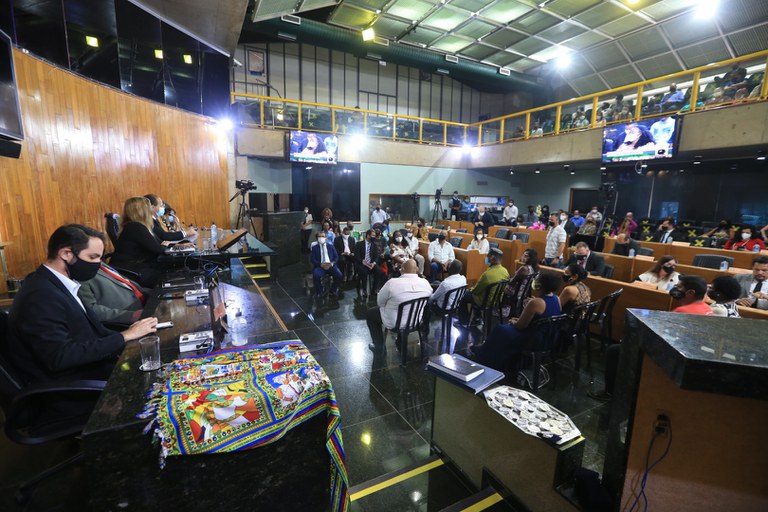 foto Aline Rezende 0009.JPG