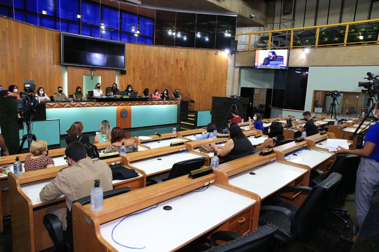 foto Aline Rezende 0007.JPG