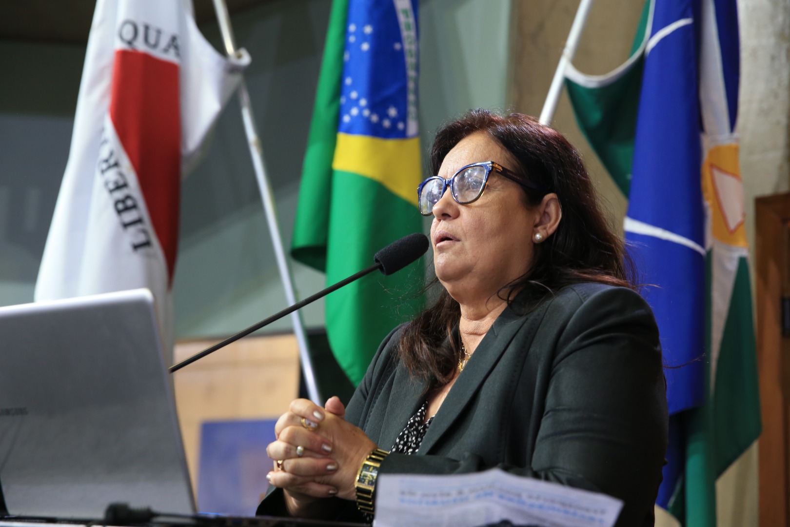 foto Aline Rezende 0056.JPG