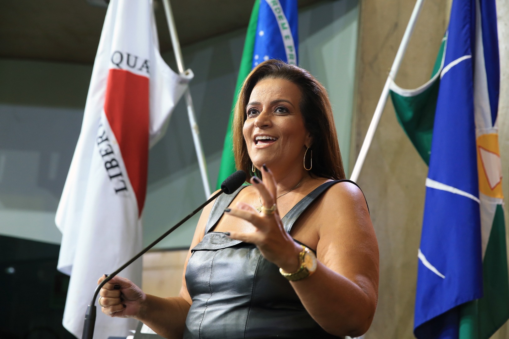 fotoAline Rezende 0061.JPG