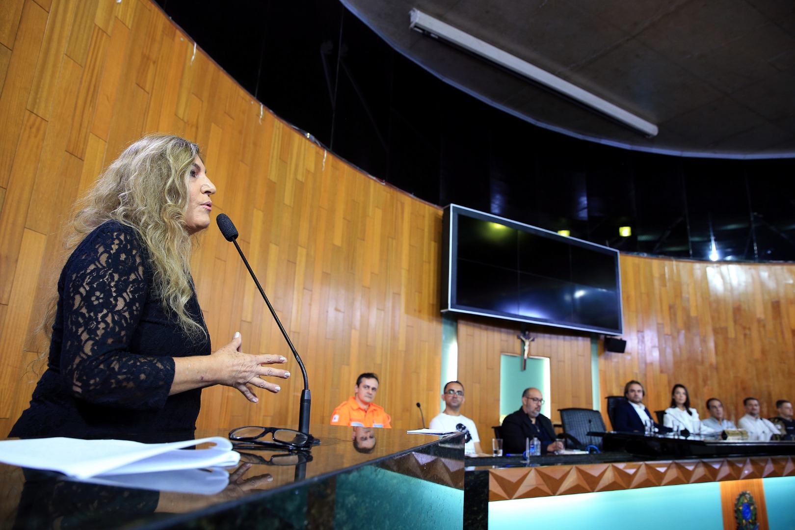 foto Aline Rezende 0053.JPG