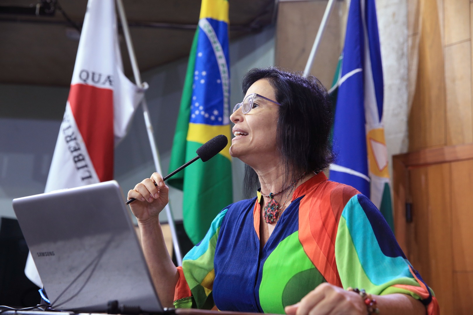 foto Aline Rezende 0020.JPG