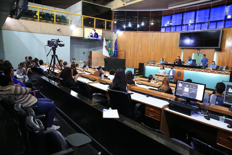 foto Aline Rezende 0020.JPG