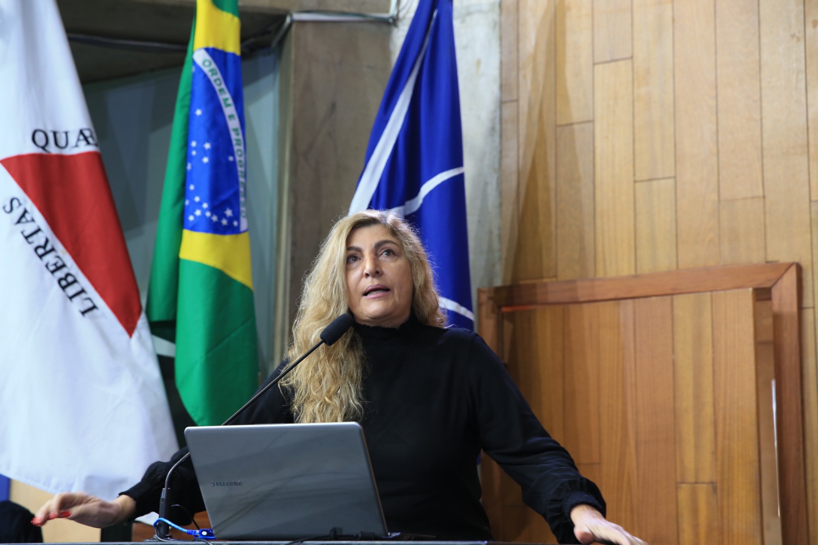 foto Aline Rezende 0008.JPG