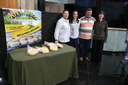  foto Aline Rezende 0008.JPG 