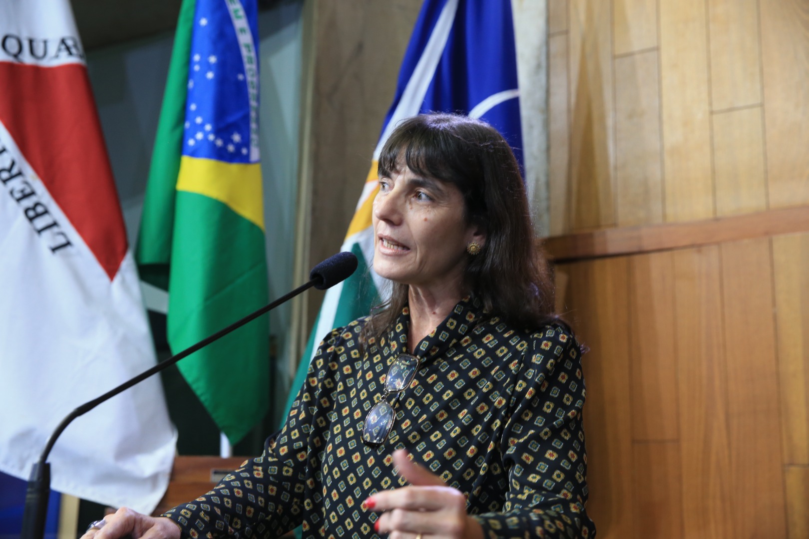 foto Aline Rezende 0030.JPG