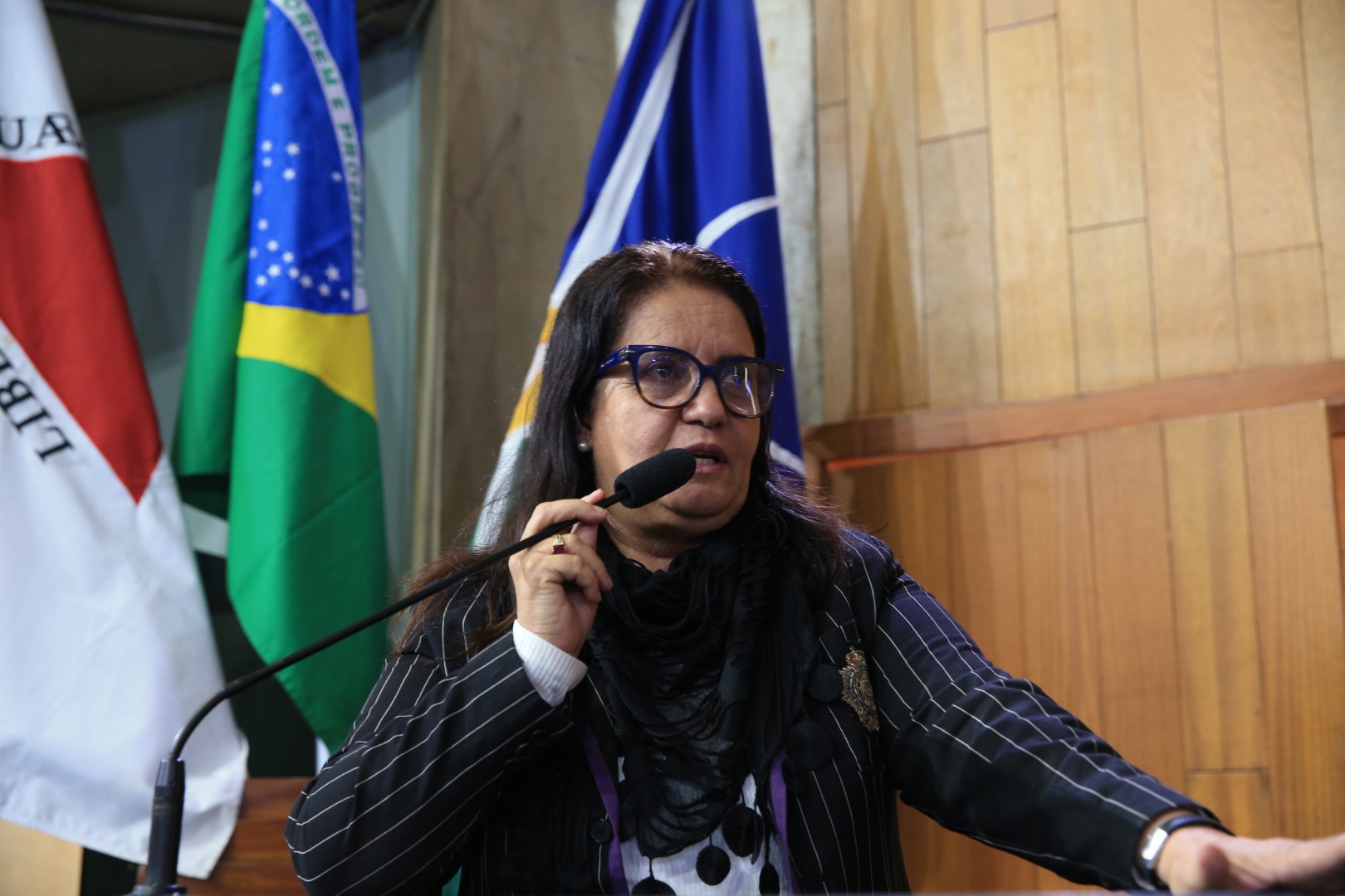 foto Aline Rezende 0018.JPG
