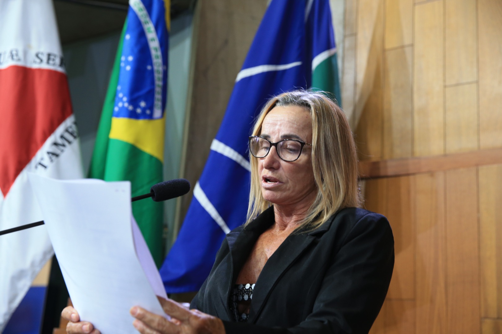 foto Aline Rezende 0002.JPG