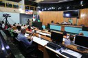  foto Aline Rezende 0015.JPG 