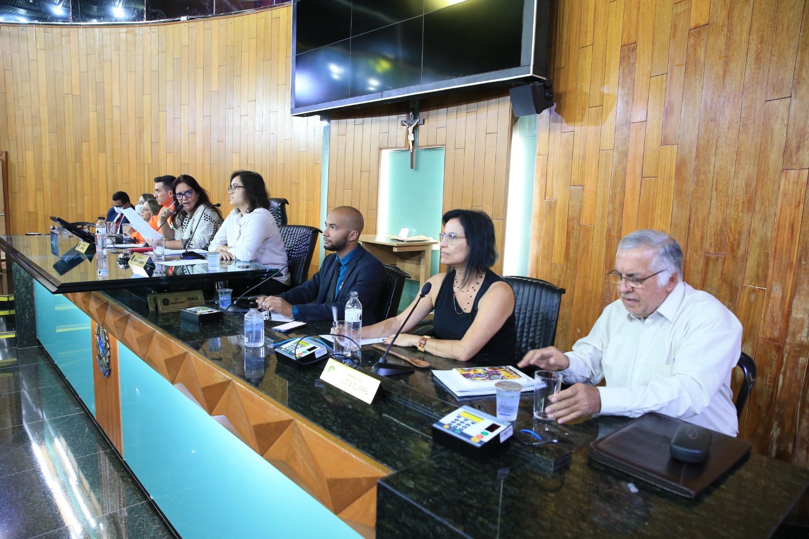 foto Aline Rezende 0002.JPG