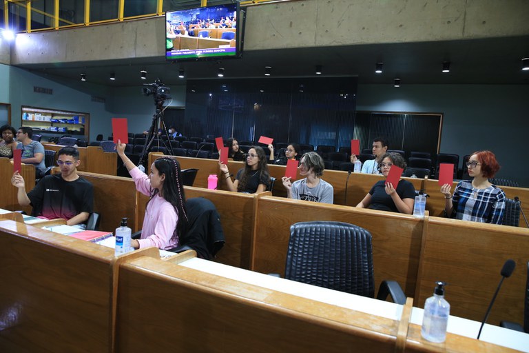 foto Aline Rezende 0017.JPG