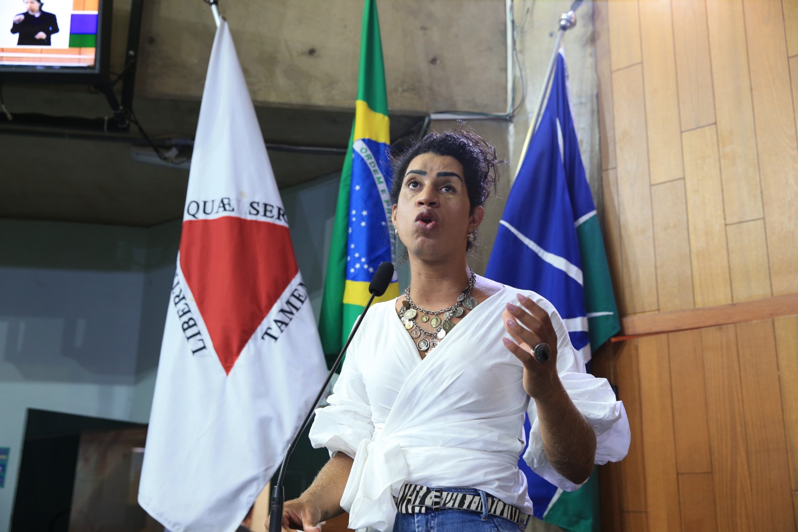 foto Aline Rezende 0028.JPG