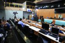  foto Aline Rezende 0009.JPG 