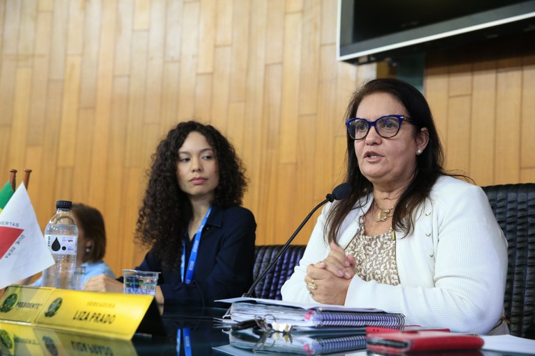 foto Aline Rezende 0002.JPG