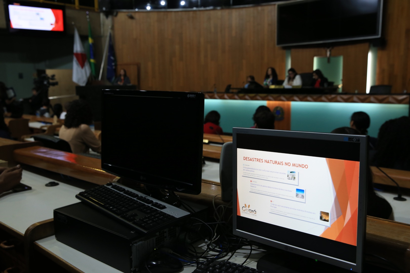 foto Aline Rezende 0014.JPG