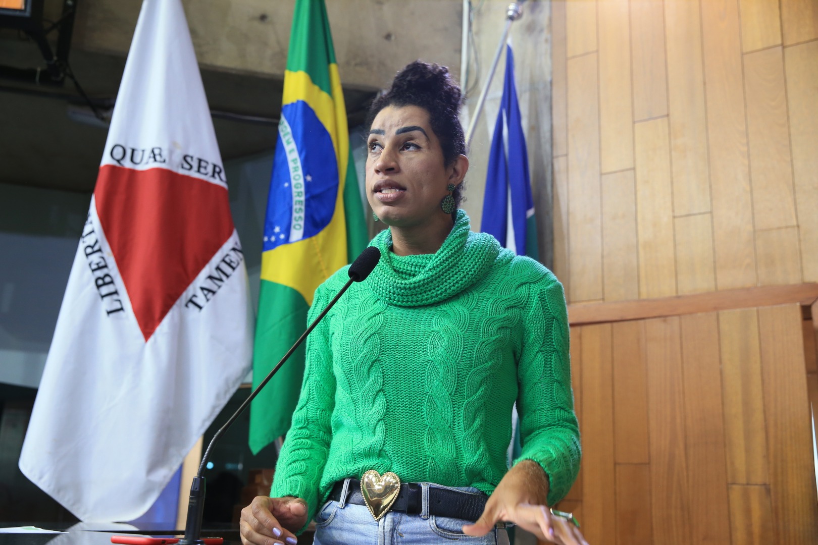 foto Aline Rezende 0013.JPG