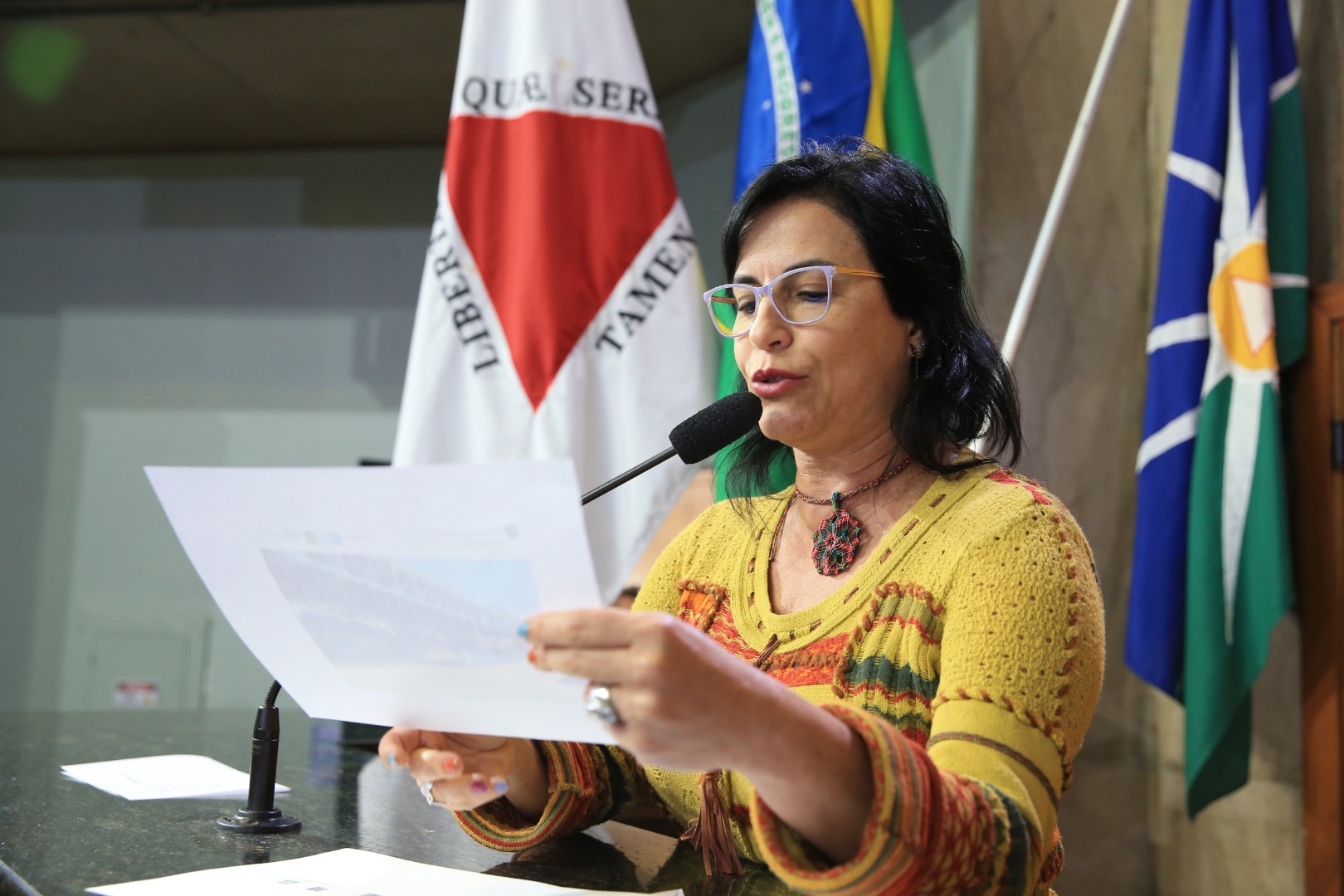 foto Aline Rezende 0023.JPG