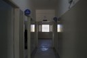  foto Aline Rezende 0014.JPG 