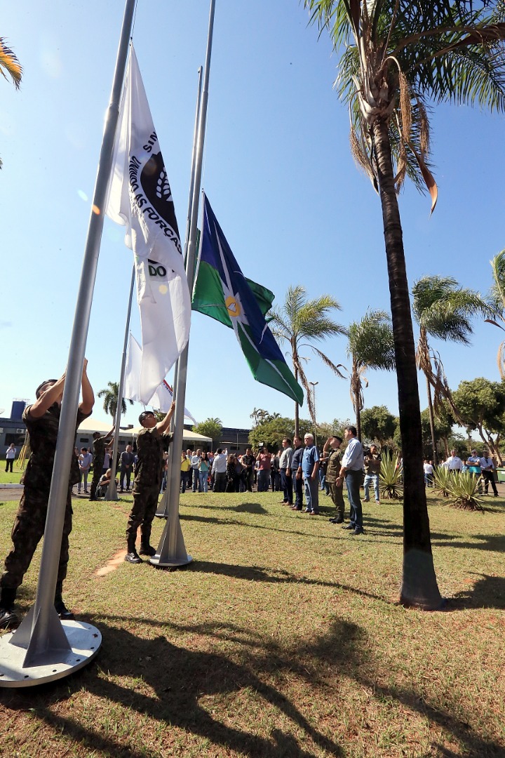 foto Aline Rezende 0010.JPG