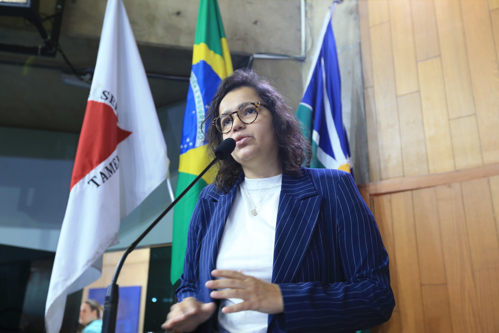 foto Aline Rezende 0082.JPG