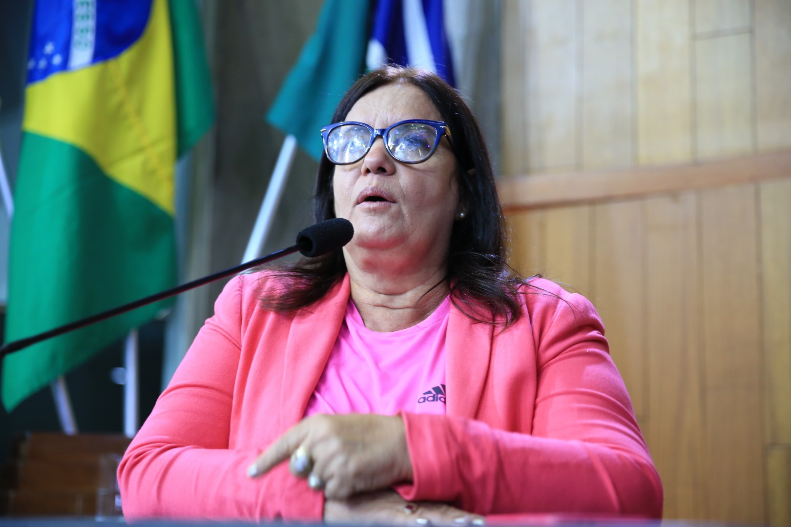 foto Aline Rezende 0094.JPG