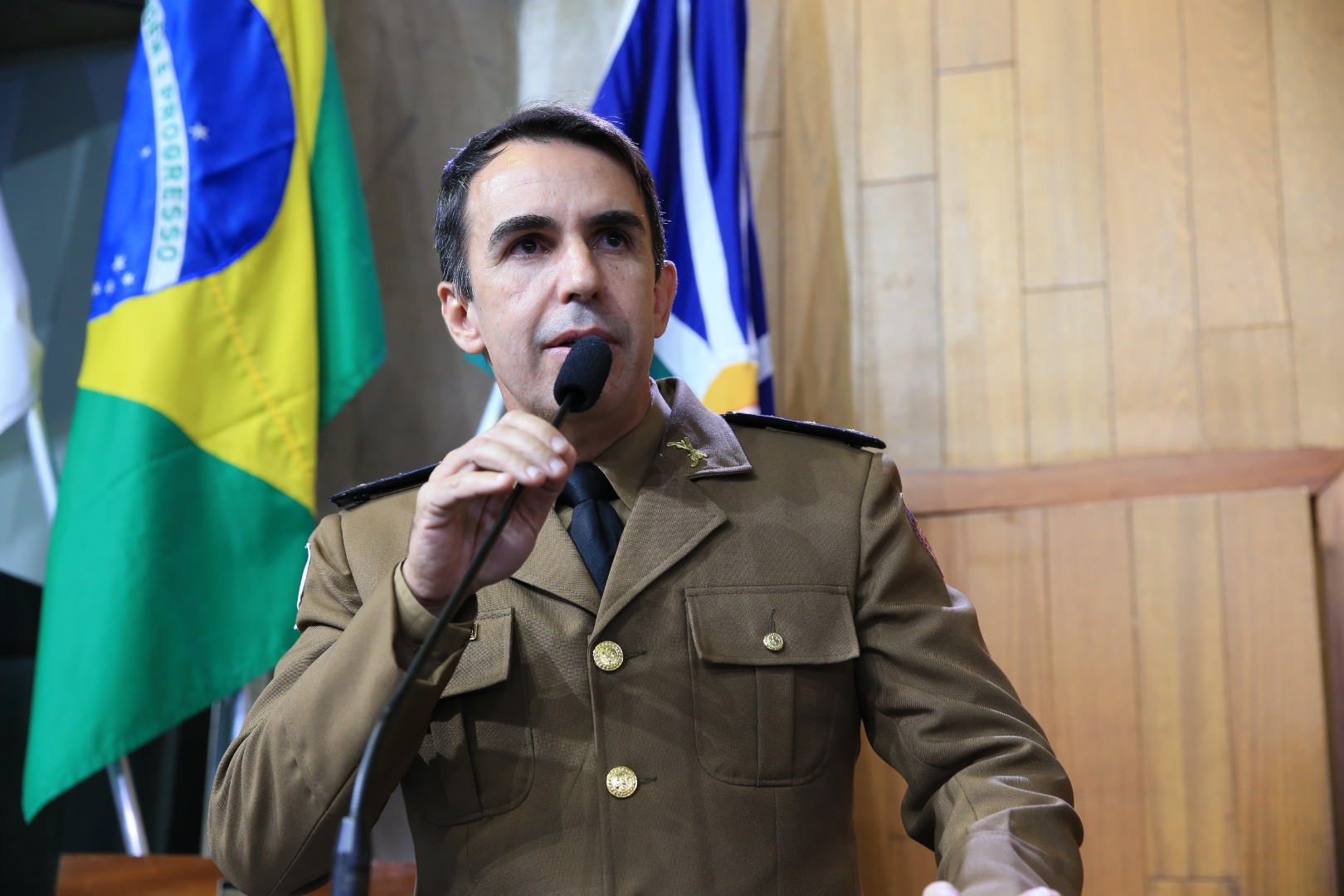 foto Aline Rezende 0039.JPG