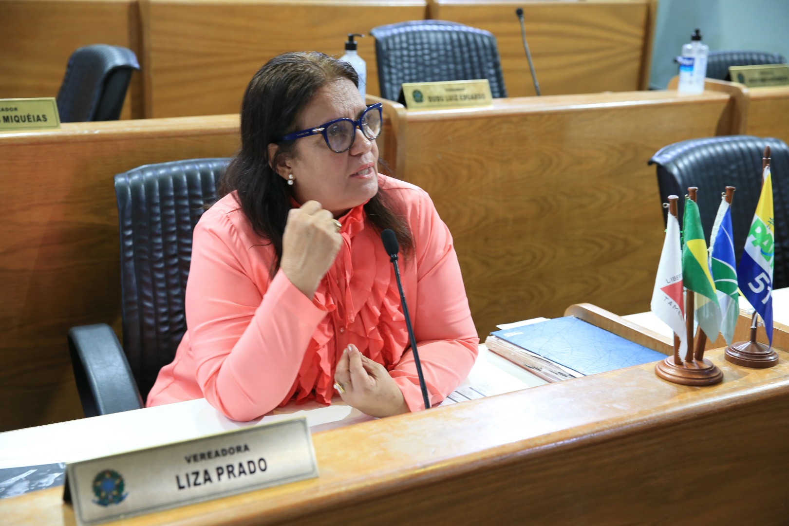 foto Aline Rezende 0007.JPG