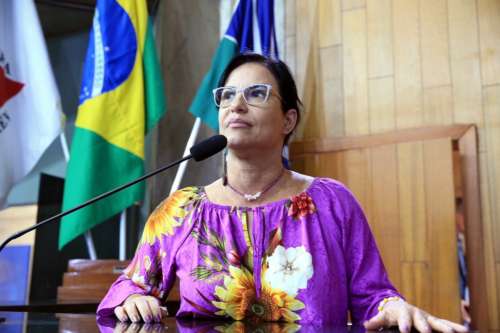 foto Aline Rezende 0029.JPG