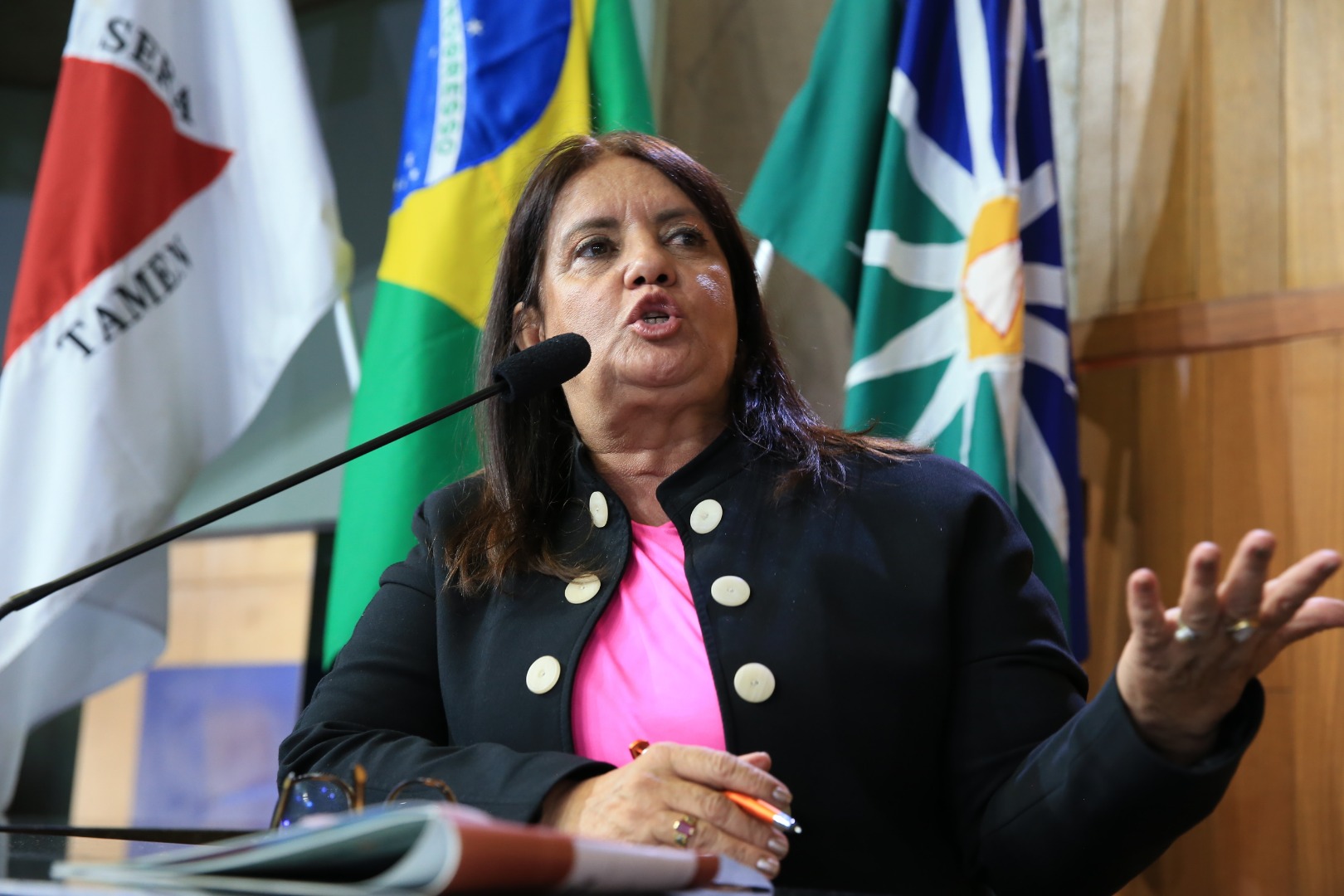 foto Aline Rezende 0011.JPG