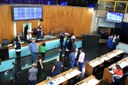  foto Aline Rezende 0009.JPG 