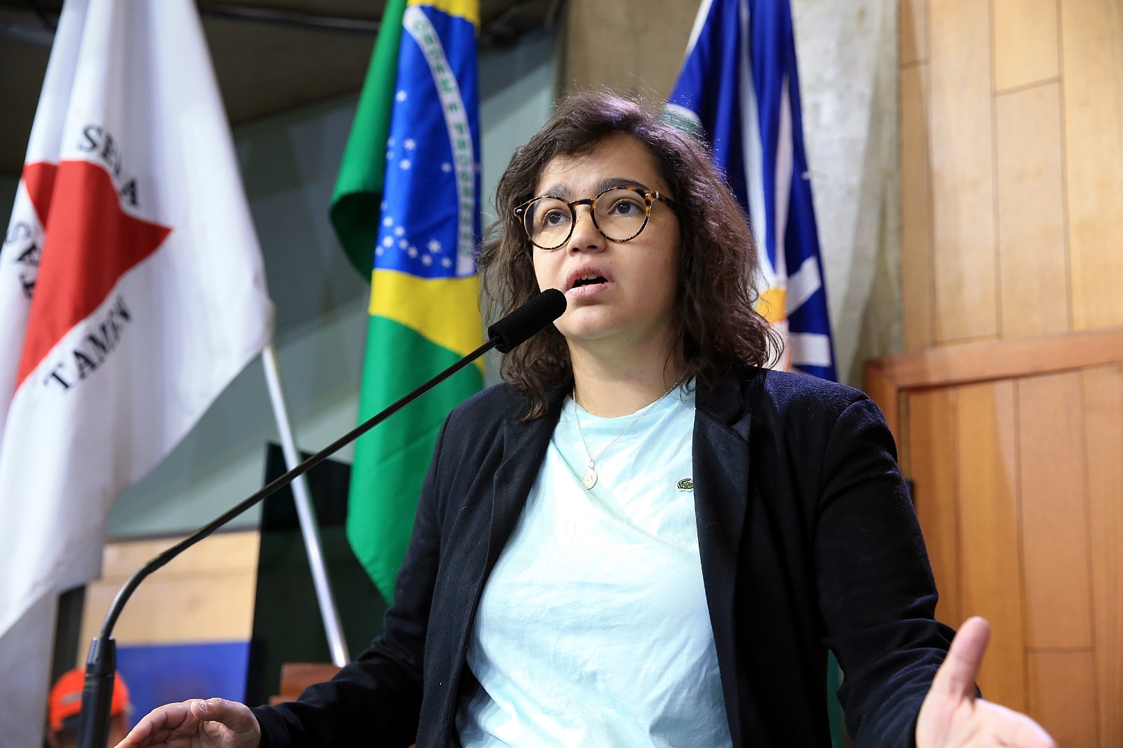 foto Aline Rezende 0044.JPG