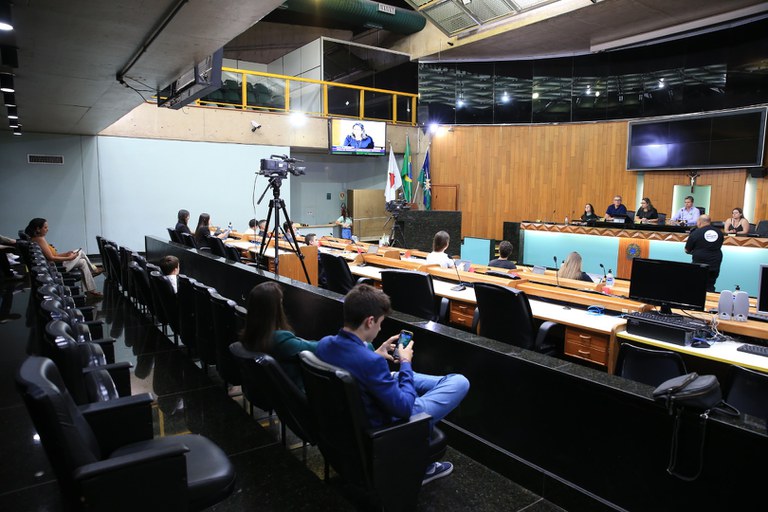 foto Aline Rezende 0007.JPG
