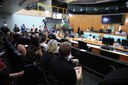  foto Aline Rezende 0014.JPG 
