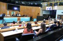 foto Aline Rezende 0015.JPG 