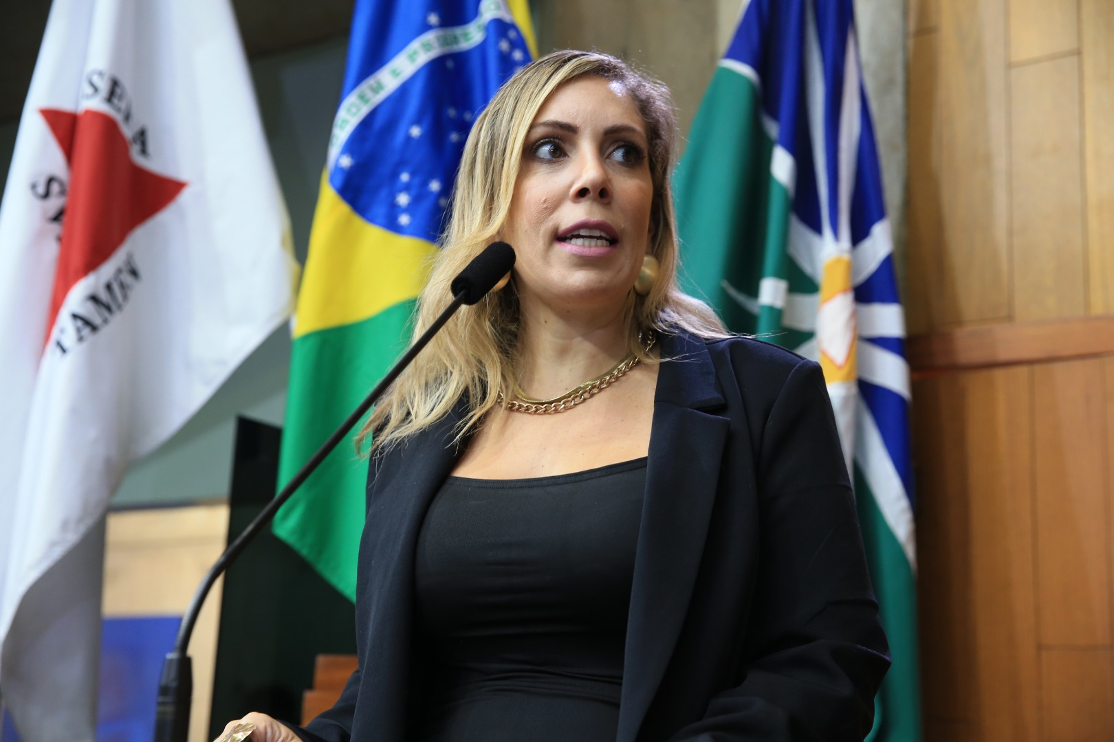 foto Aline Rezende 0003.JPG