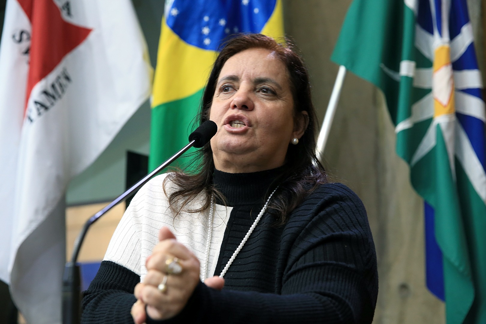 foto Aline Rezende 0089.JPG