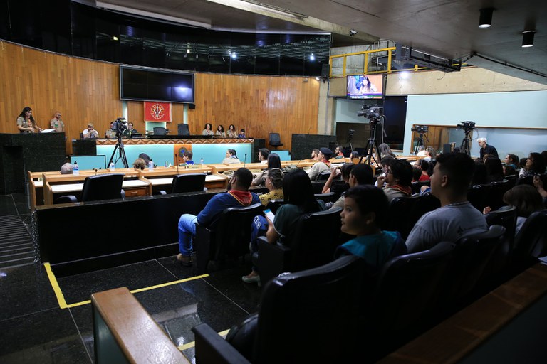 foto Aline Rezende 0014.JPG