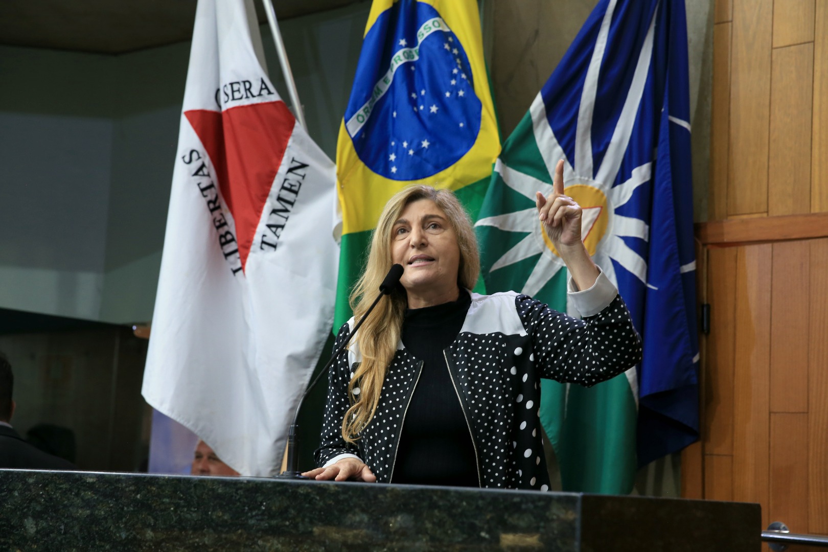 foto Aline Rezende 0036.JPG