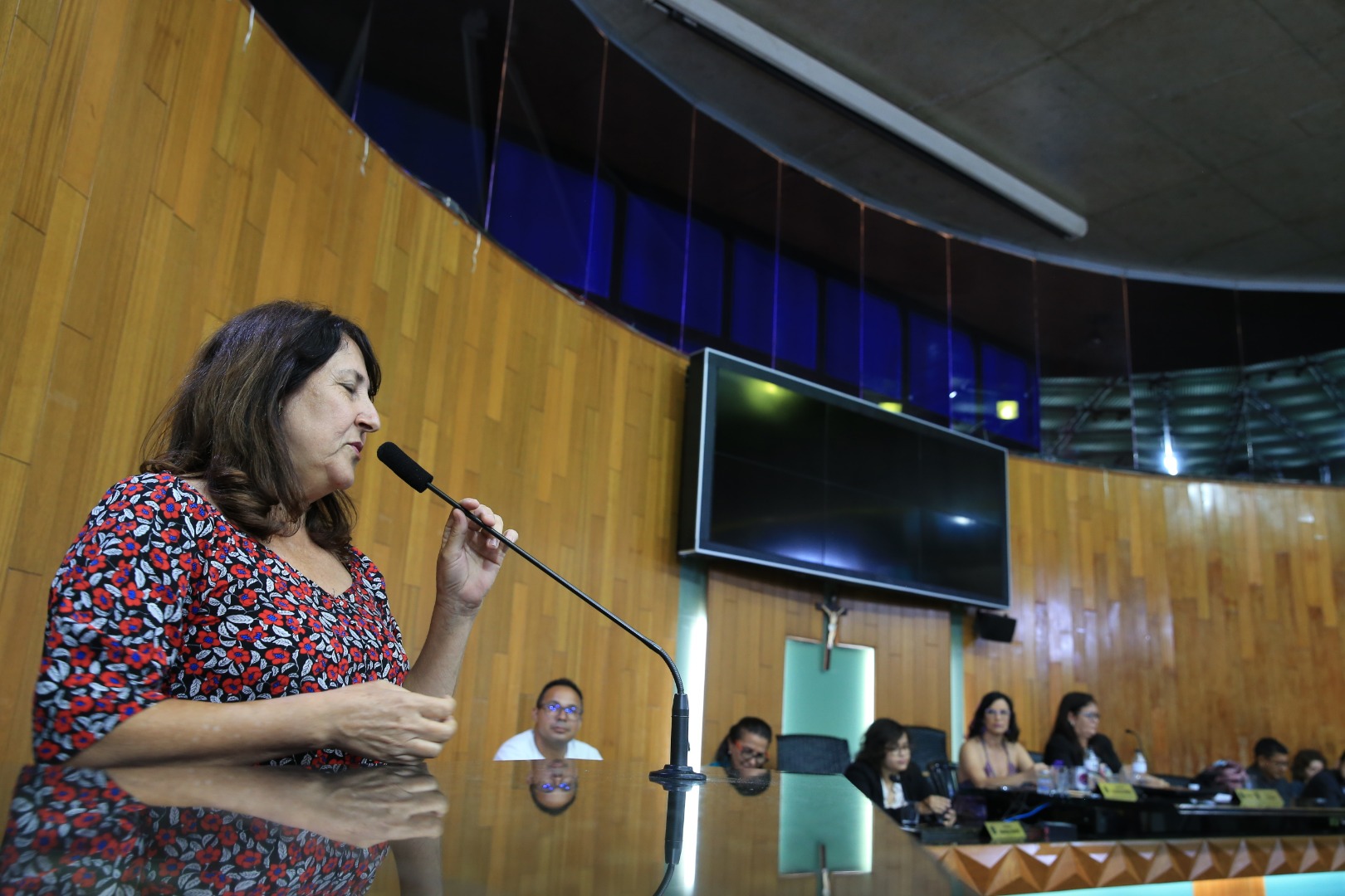 foto Aline Rezende 0015.JPG
