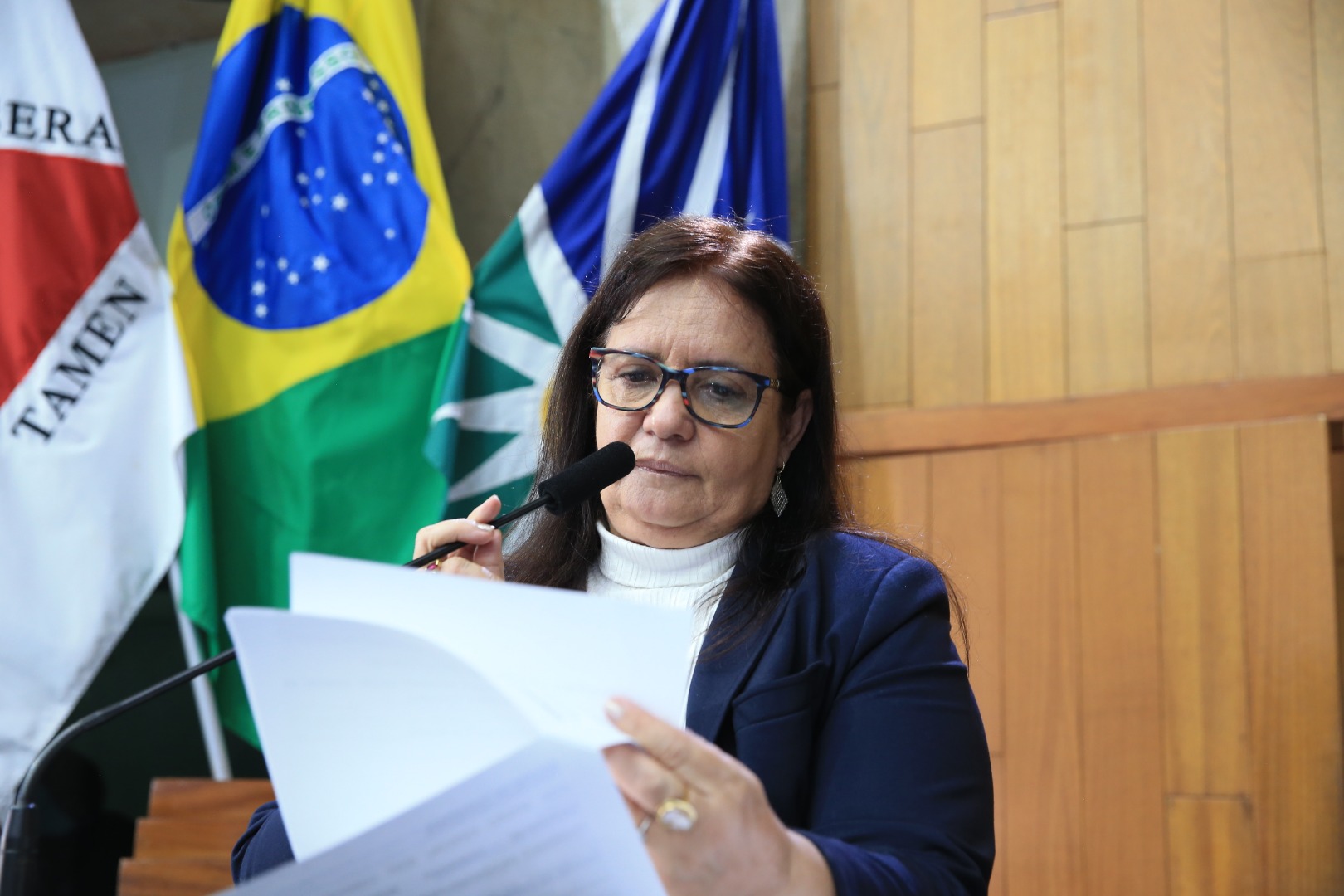 foto Aline Rezende 0023.JPG