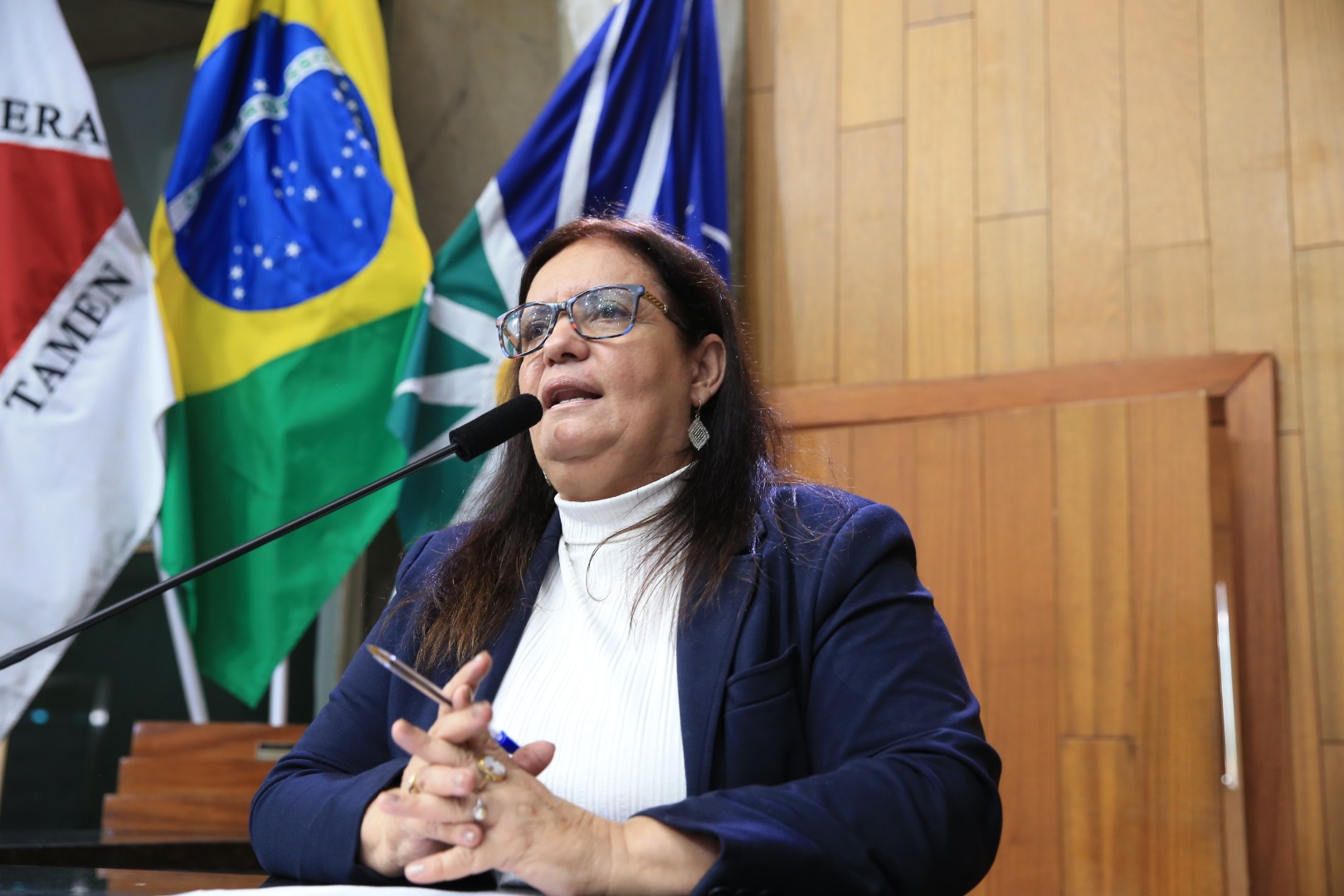 foto Aline Rezende 0038.JPG