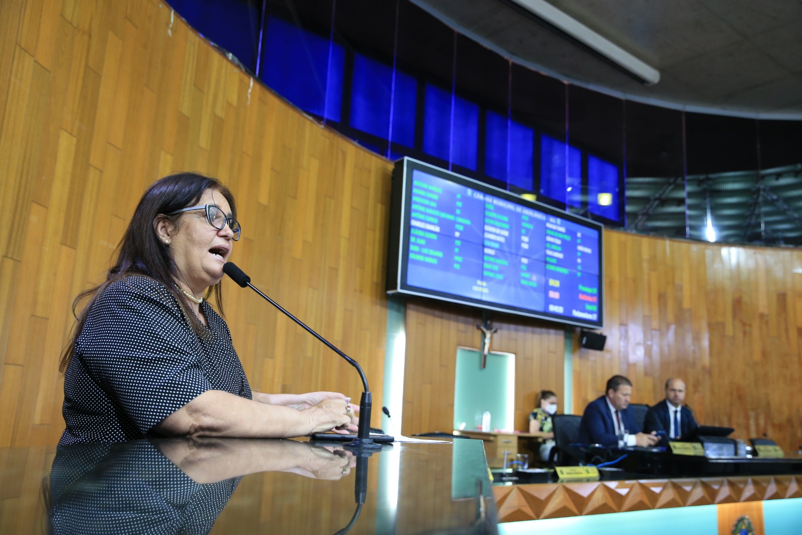 foto Aline Rezende 0016.JPG