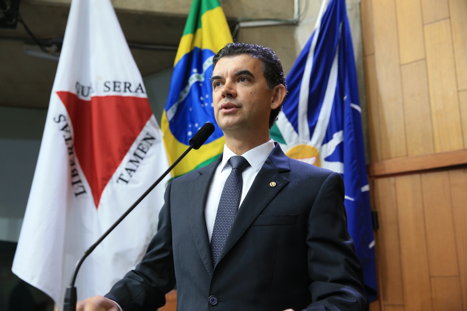foto Aline Rezende 0012.JPG