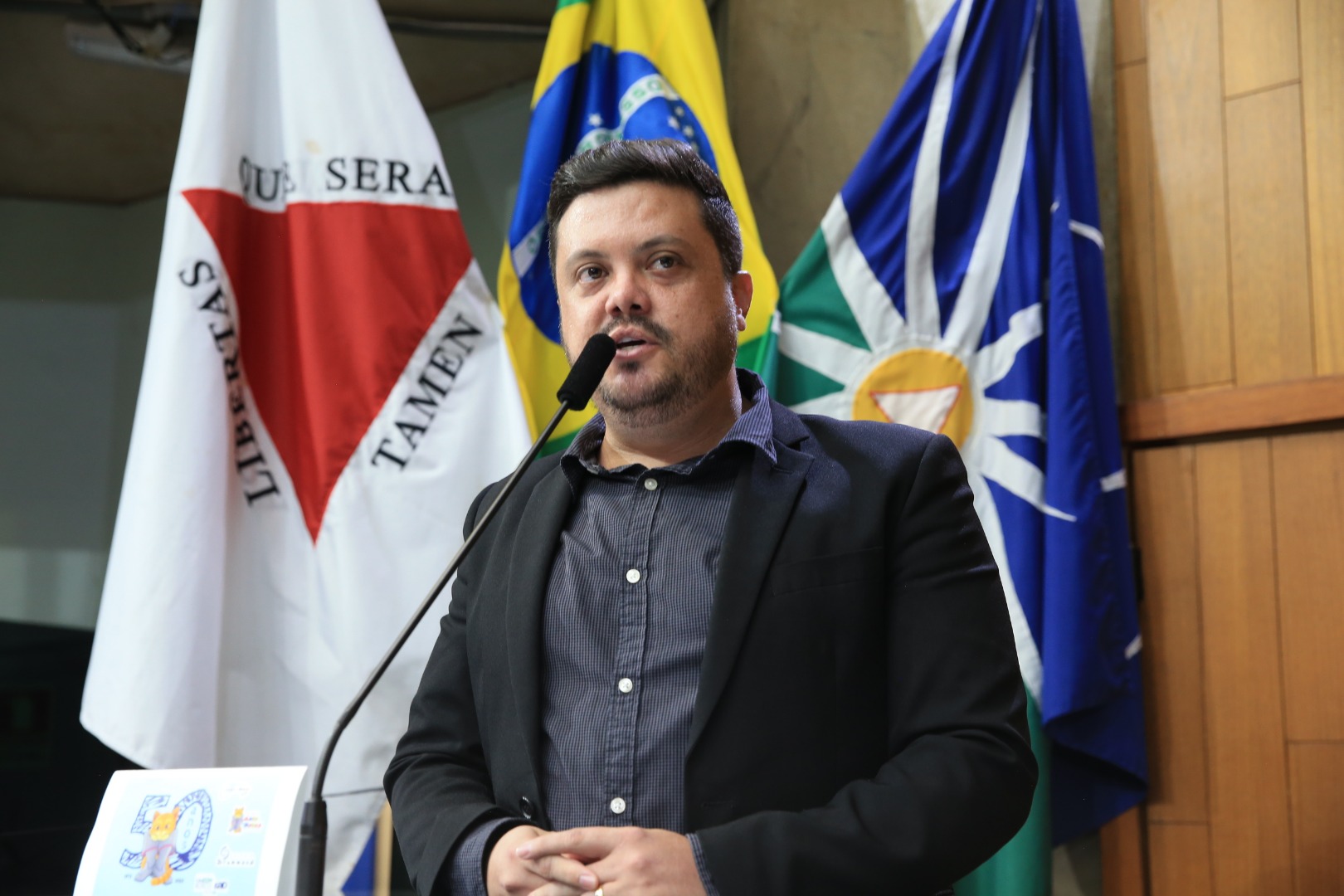 foto Aline Rezende 0028.JPG
