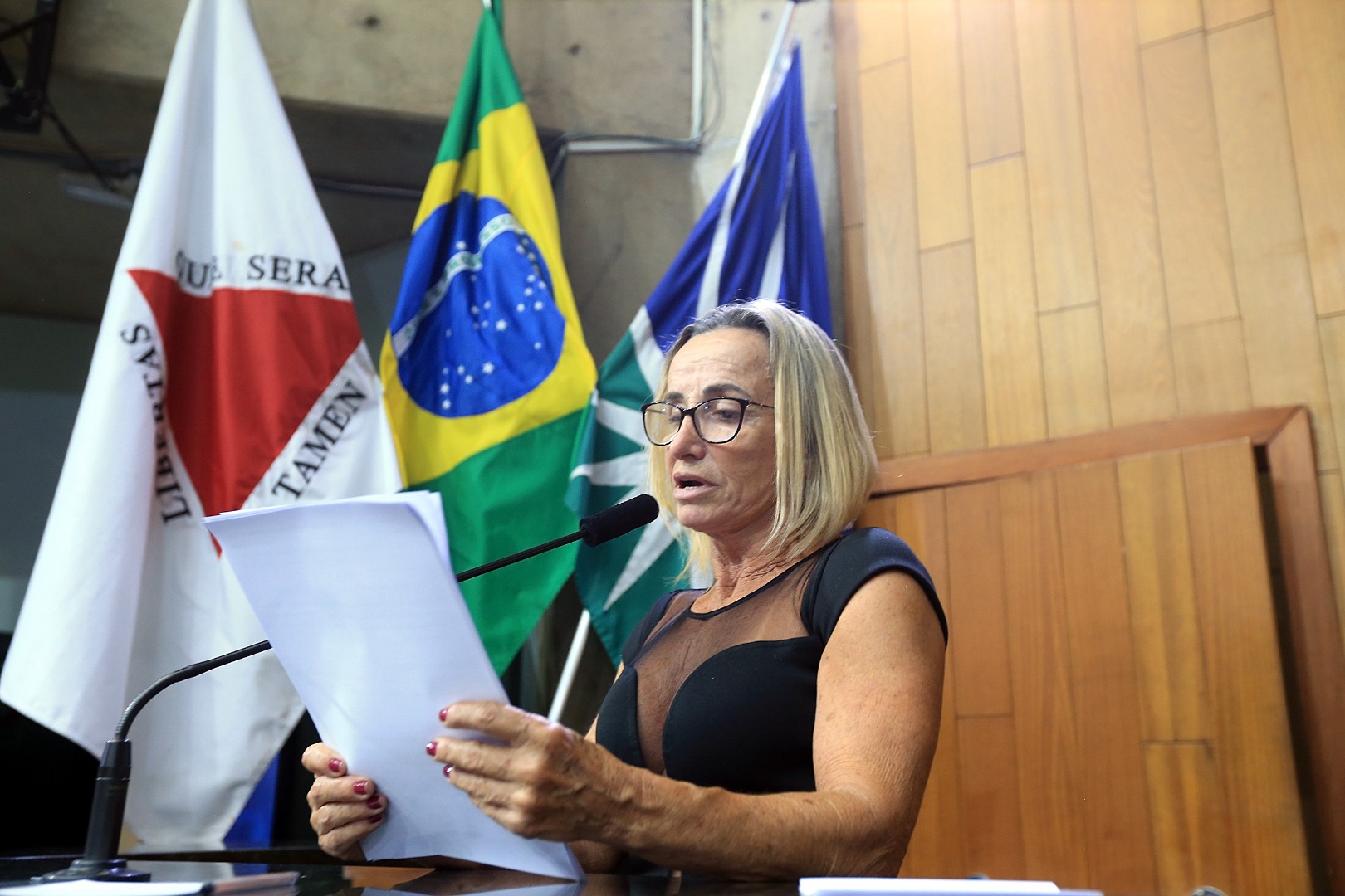 foto Aline Rezende 0001.JPG
